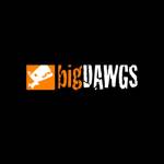 bigDAWGS promotions Profile Picture