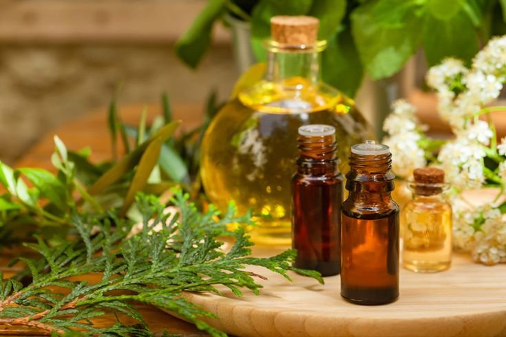 Fragrance Oils in India – Blossoms Aroma