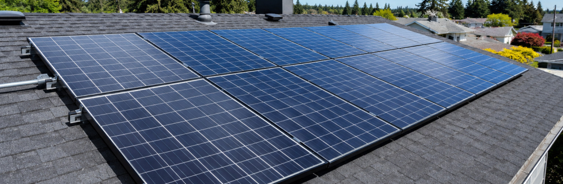 Raynex Power Solution Cover Image