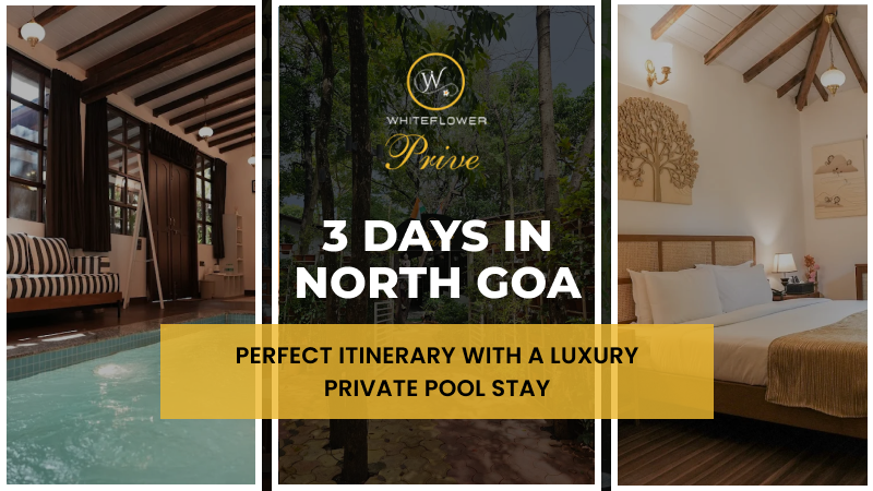 3 Days in North Goa: Perfect Itinerary with a Luxury Private Pool Stay – Prive